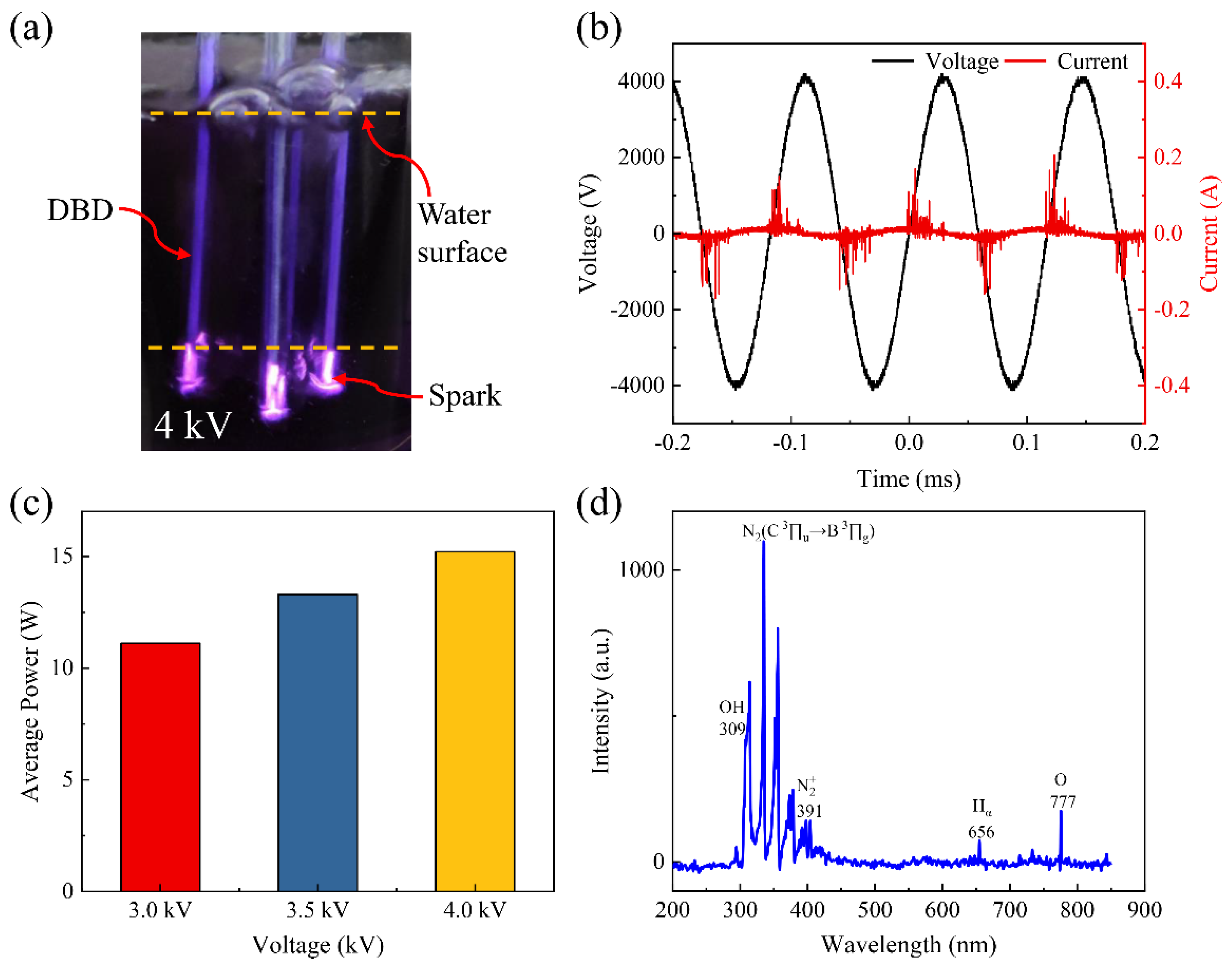 Sustainability 16 10568 g002