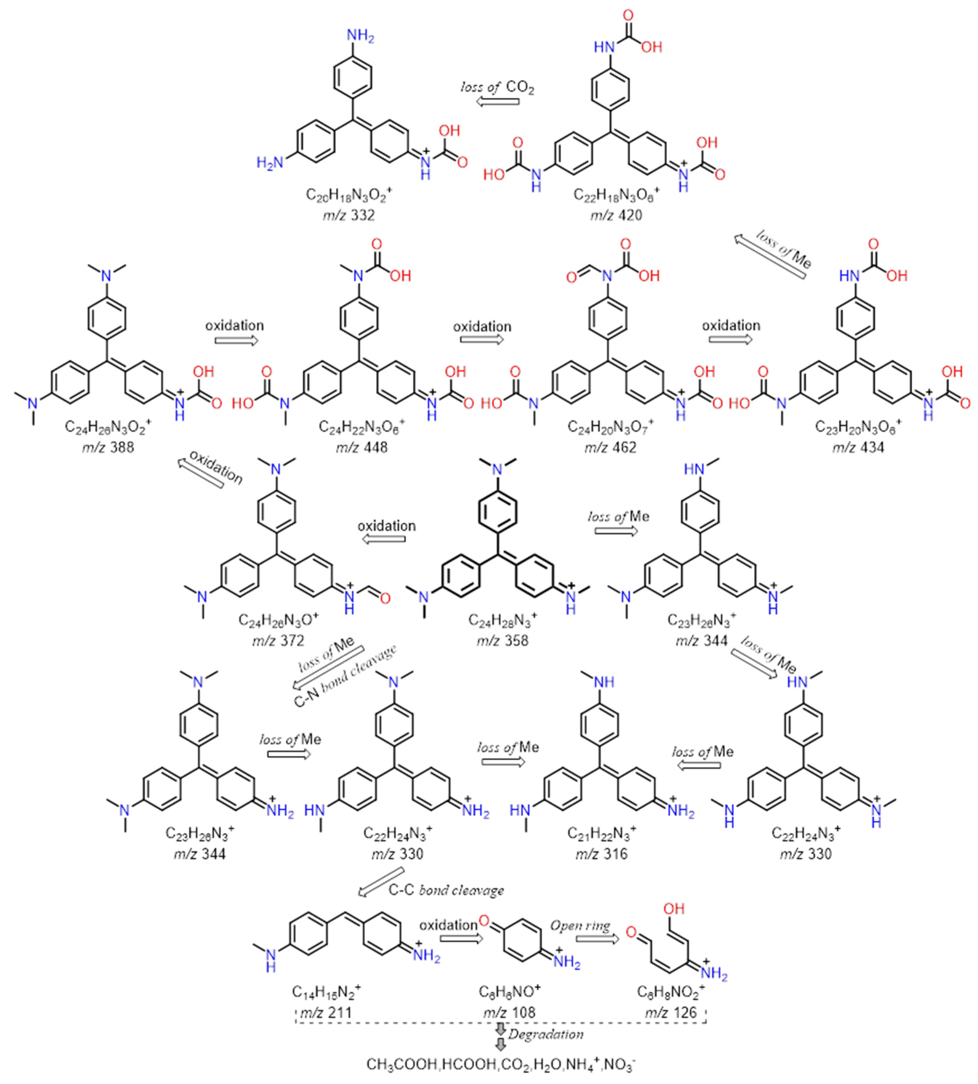Sustainability 16 10568 g007