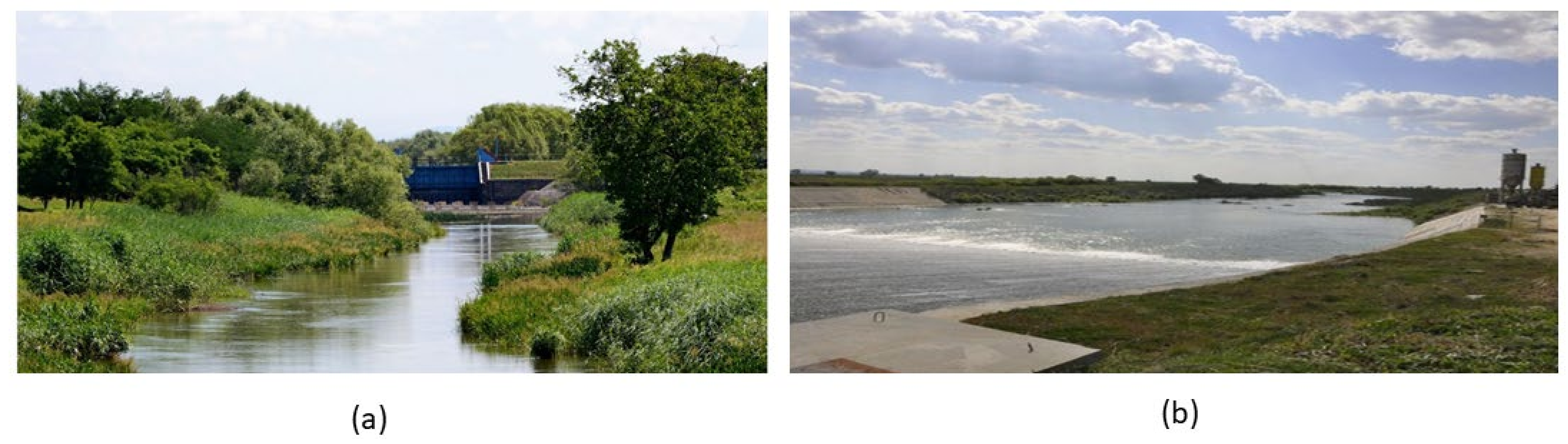 Sustainability 16 10573 g005