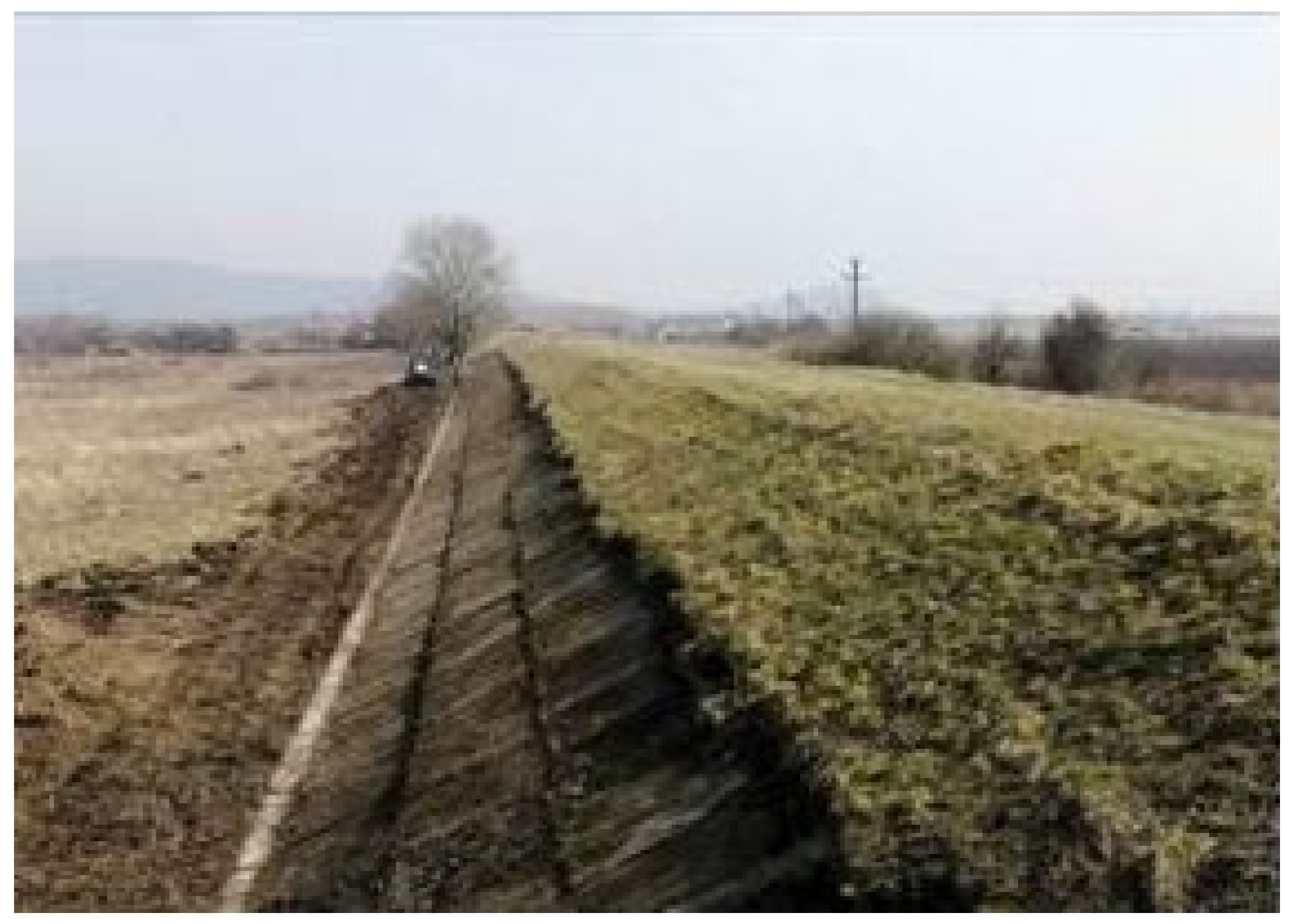 Sustainability 16 10573 g008