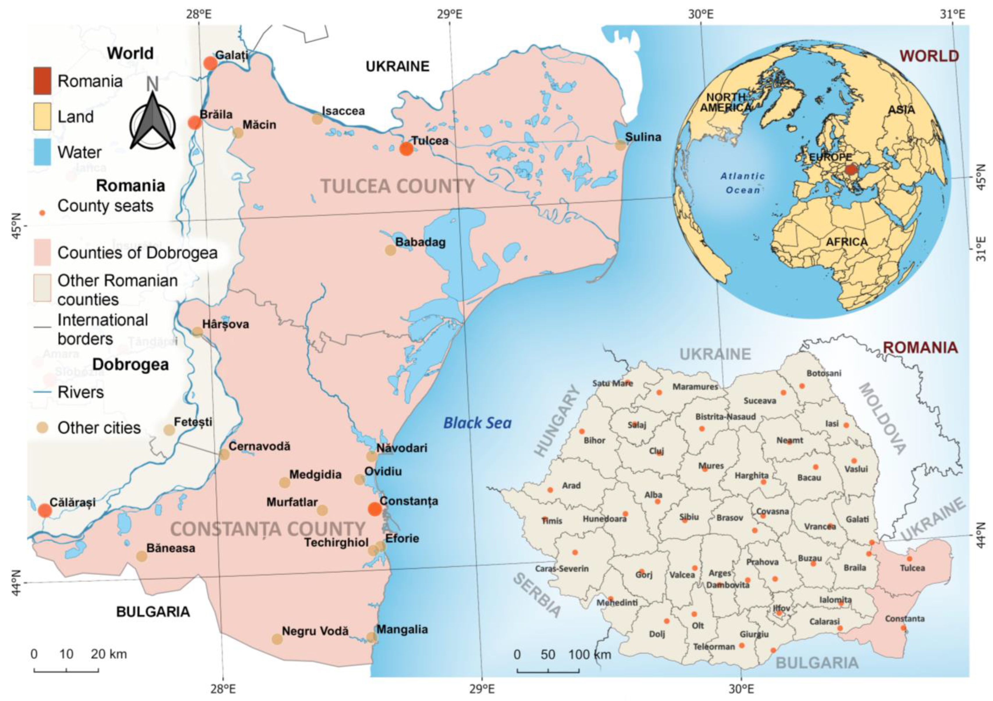 Sustainability 16 10576 g001