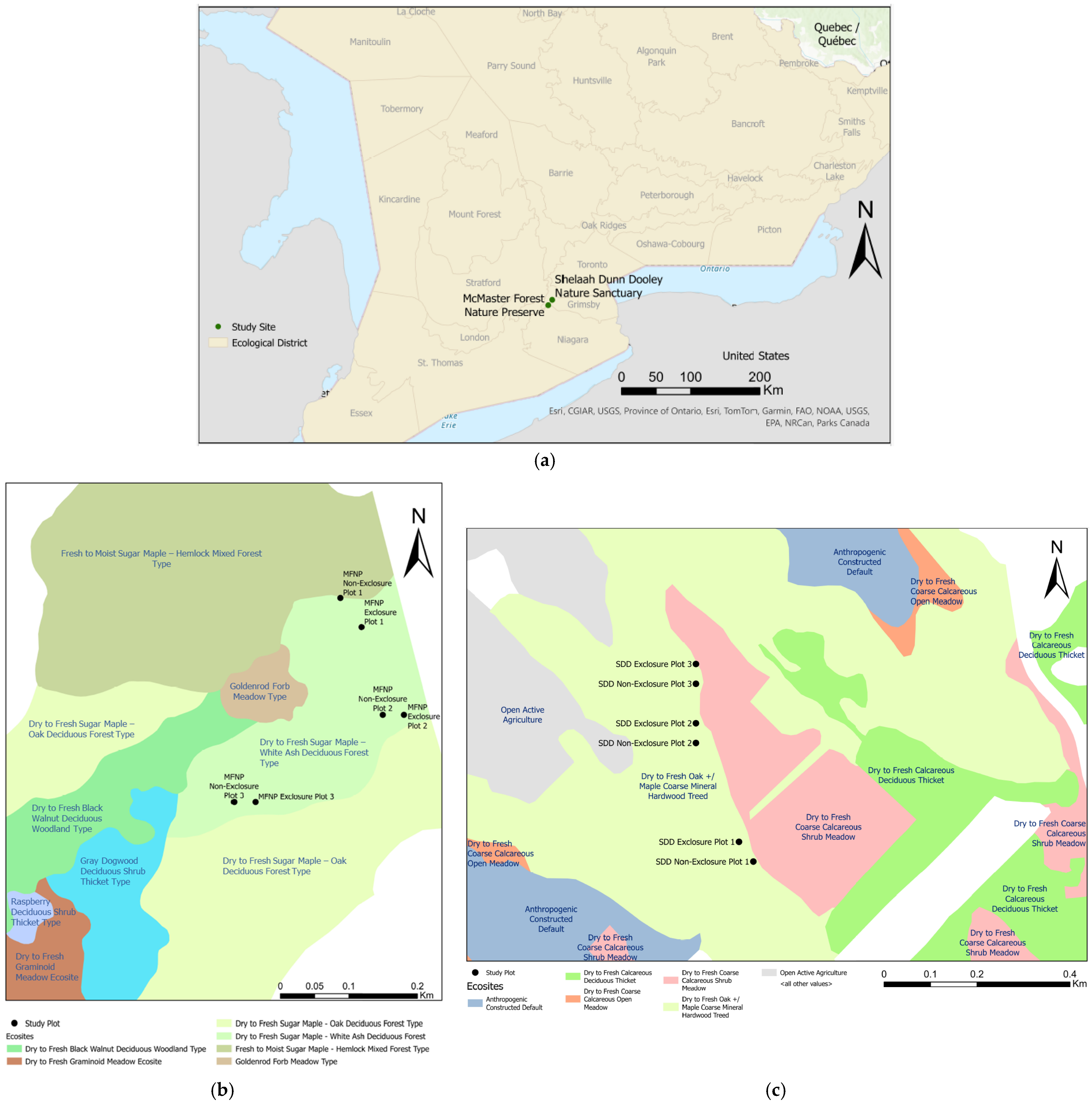 Sustainability 16 10589 g001