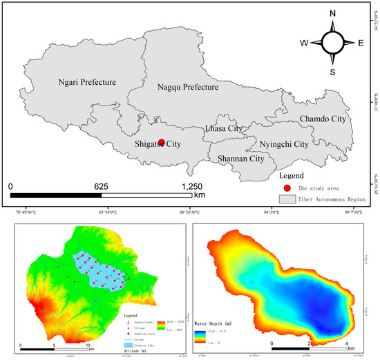 Spatial Distribution, Risk Assessment and Source Analysis of