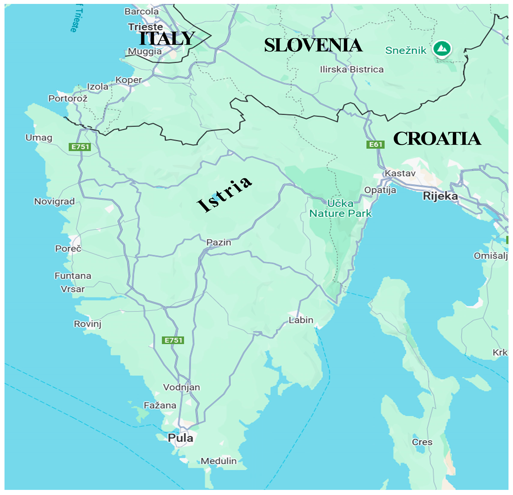 Sustainability 16 10604 g001