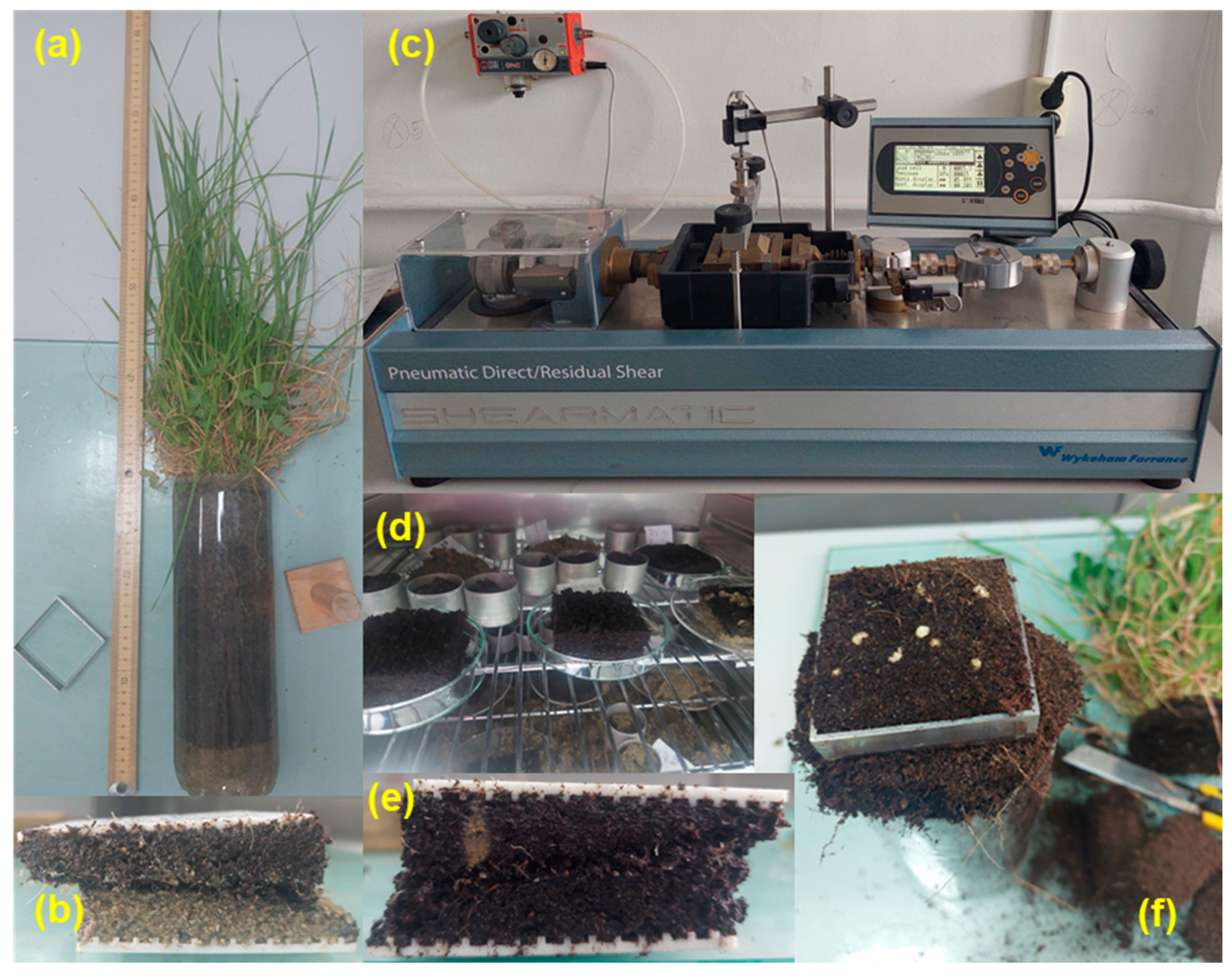 Sustainability 16 10621 g004