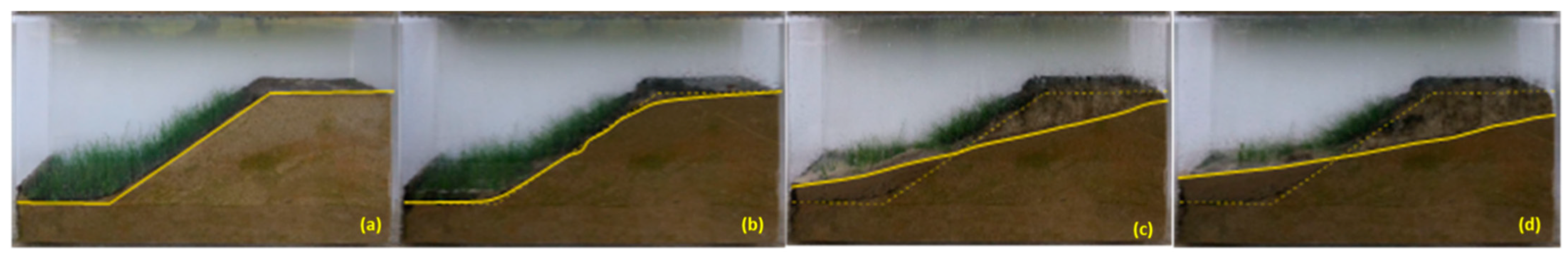 Sustainability 16 10621 g016