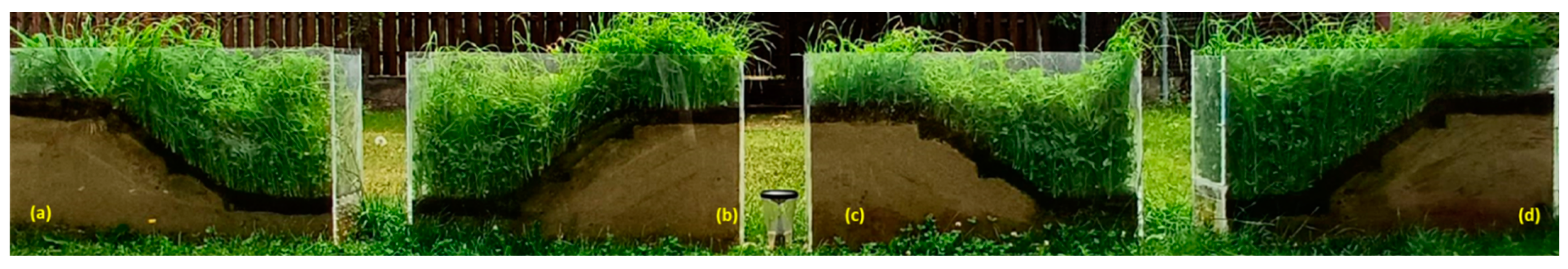 Sustainability 16 10621 g019