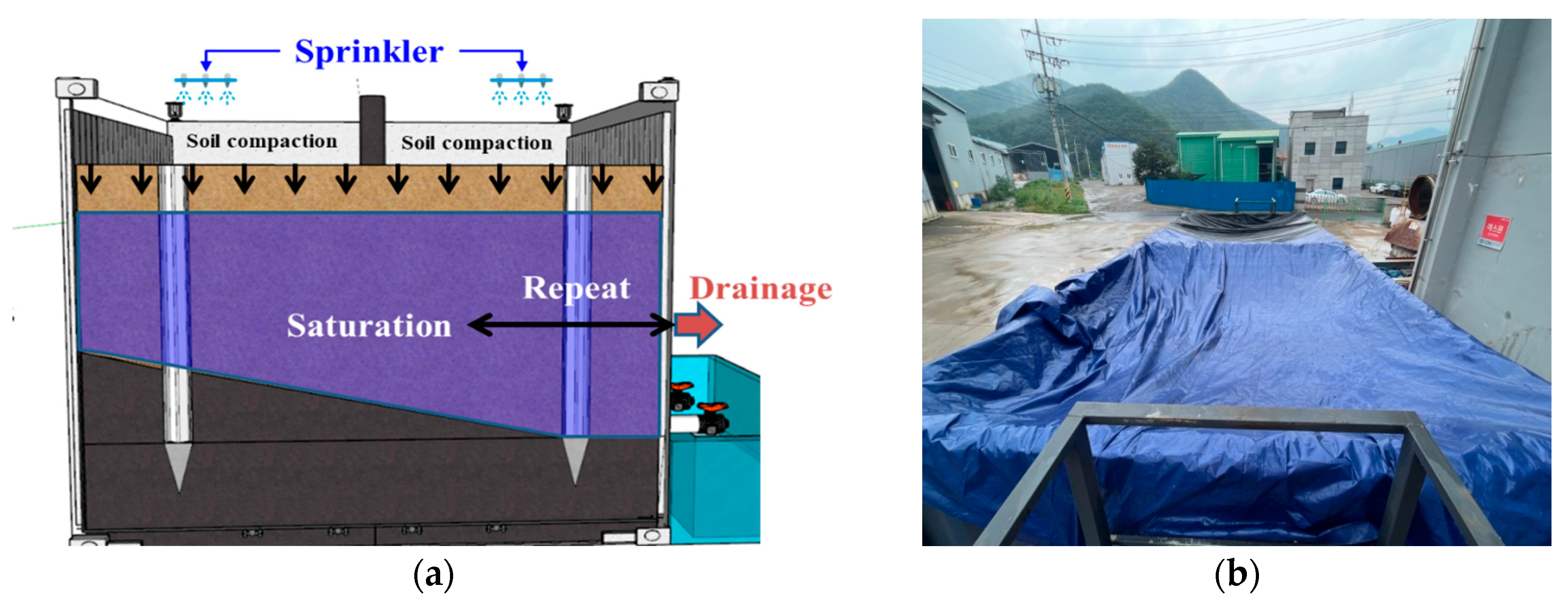 Sustainability 16 10626 g010