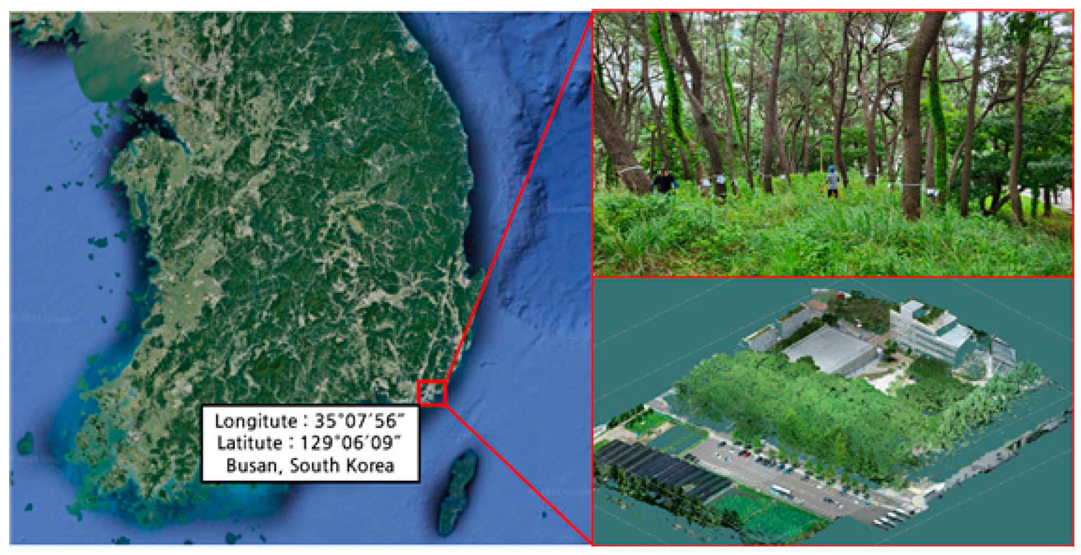 Sustainability 16 10636 g001