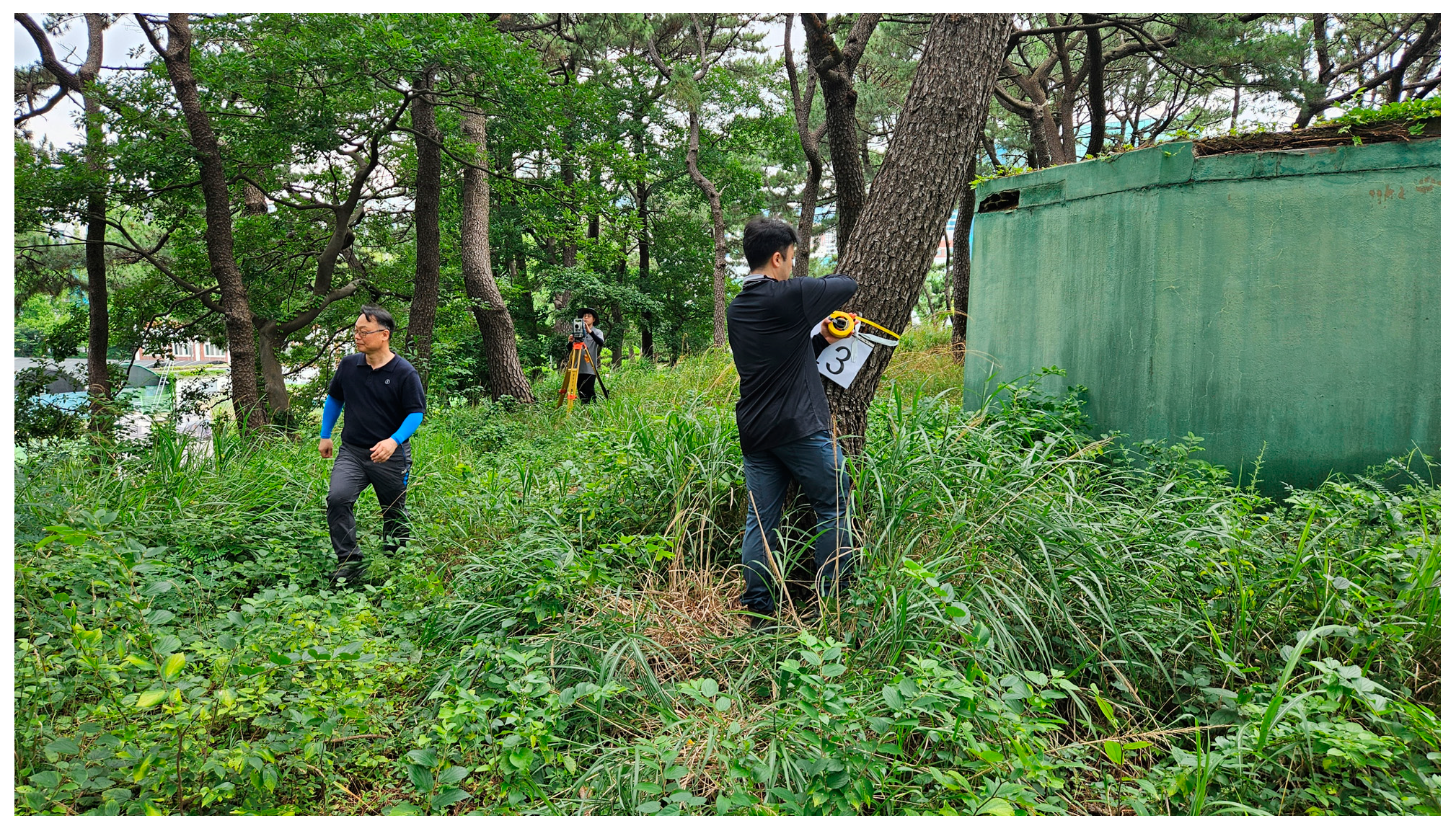 Sustainability 16 10636 g003