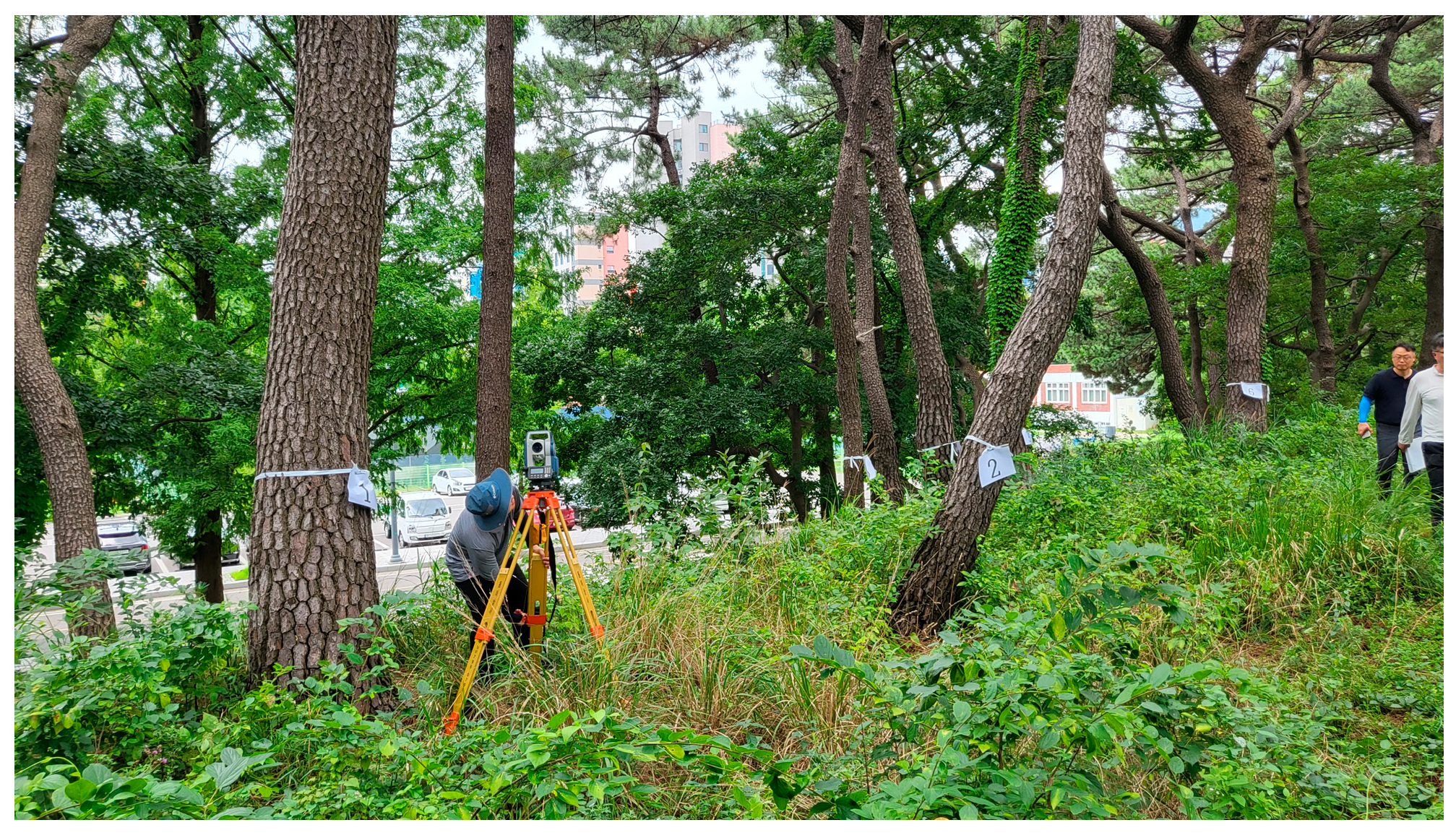 Sustainability 16 10636 g004