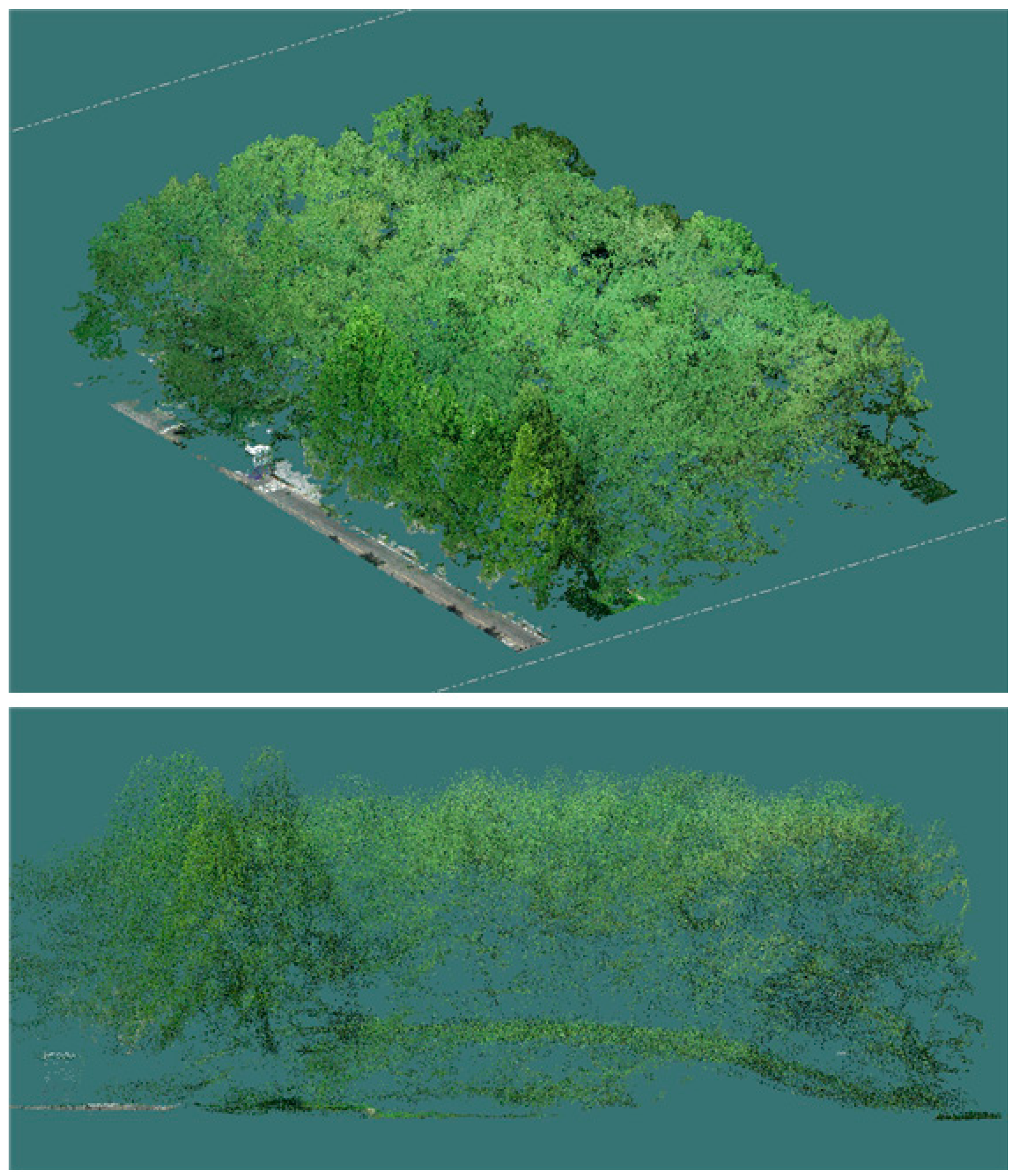 Sustainability 16 10636 g005