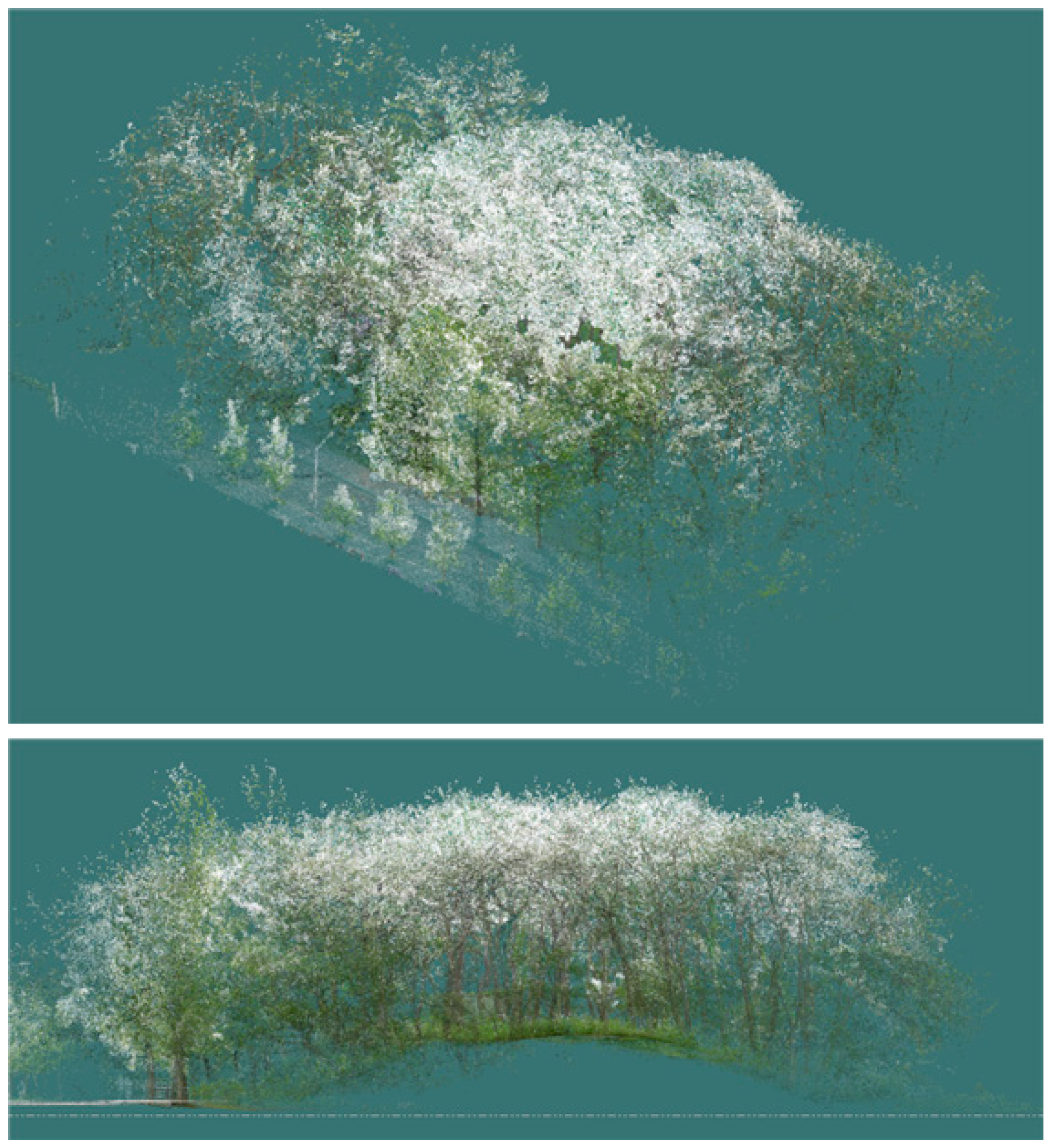 Sustainability 16 10636 g006