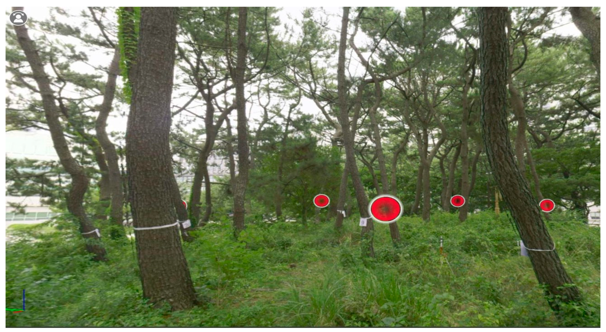 Sustainability 16 10636 g007