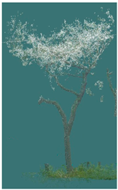 Sustainability 16 10636 i004