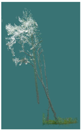 Sustainability 16 10636 i005