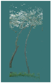 Sustainability 16 10636 i006