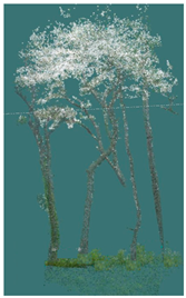 Sustainability 16 10636 i007