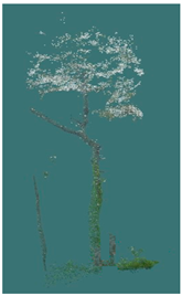 Sustainability 16 10636 i008