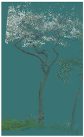 Sustainability 16 10636 i009