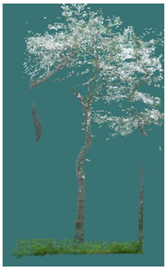 Sustainability 16 10636 i010