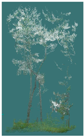 Sustainability 16 10636 i011