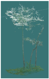 Sustainability 16 10636 i012