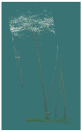 Sustainability 16 10636 i013