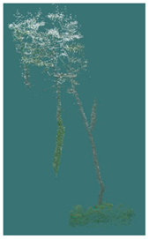 Sustainability 16 10636 i014