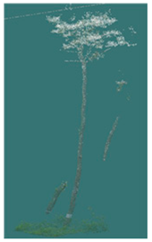 Sustainability 16 10636 i015