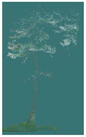 Sustainability 16 10636 i016