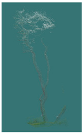 Sustainability 16 10636 i017