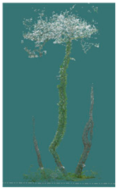 Sustainability 16 10636 i018