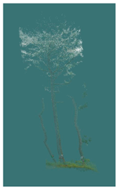 Sustainability 16 10636 i019