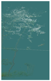 Sustainability 16 10636 i020