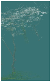 Sustainability 16 10636 i022