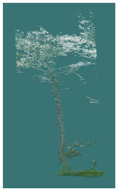 Sustainability 16 10636 i023