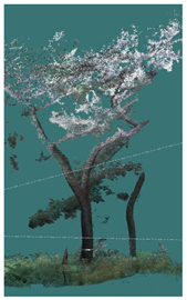 Sustainability 16 10636 i024