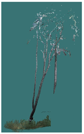 Sustainability 16 10636 i025