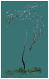 Sustainability 16 10636 i026