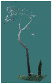 Sustainability 16 10636 i027