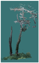 Sustainability 16 10636 i028