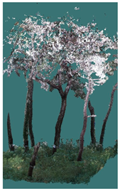 Sustainability 16 10636 i029