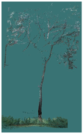 Sustainability 16 10636 i030