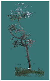 Sustainability 16 10636 i031