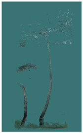 Sustainability 16 10636 i032