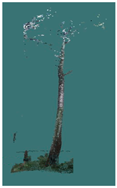 Sustainability 16 10636 i033