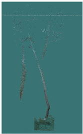 Sustainability 16 10636 i034