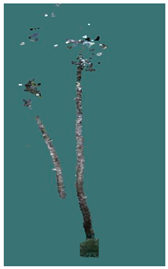 Sustainability 16 10636 i035