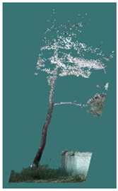 Sustainability 16 10636 i036